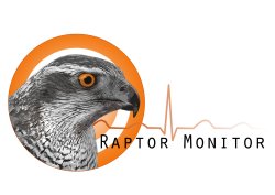 raptor monitor logo